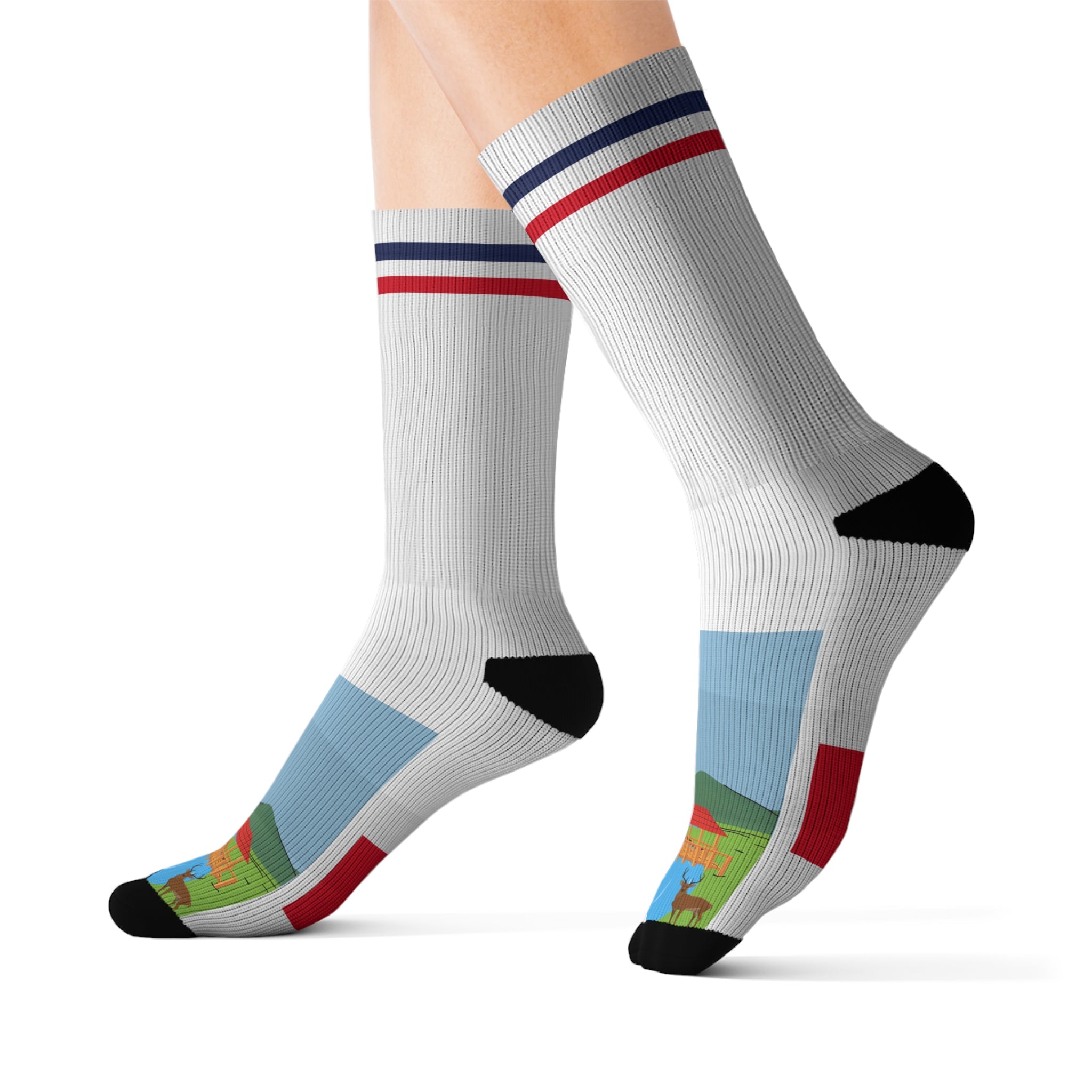 Iowa Heartland Socks